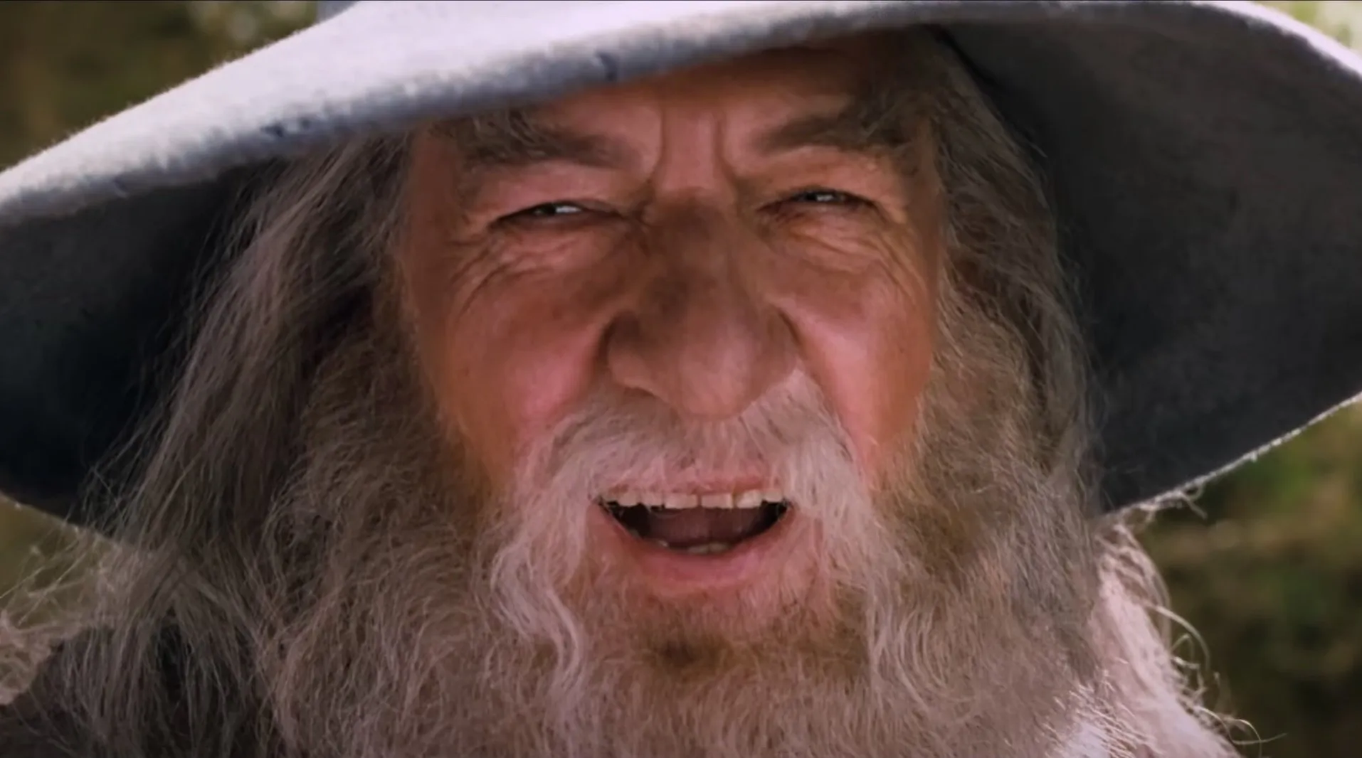 Gandalf the Grey